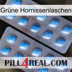 Grüne Hornissenlaschen viagra4